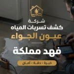 شركة كشف تسربات المياه عيون الجواء