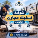 شركة شفط بيارات بالرس